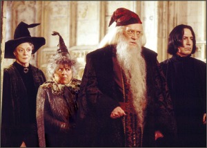 Purificación de Hogwarts, colegio de magia y hechicería Profesores-brujos
